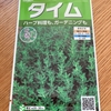 タイム（１）種から室内で育てる