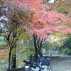 つかの間の晴れ間の紅葉ツー