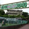 滝ノ川あじさいロードの見ごろはこれから