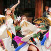 大阪芸術大学 よさこい×結び(4) #龍馬よさこい2014 #霊山護国神社 #京都