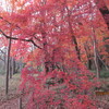 １２．１８．（水・晴れ）だらしない若侍。