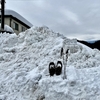 車検の後裏山にスノーハイク