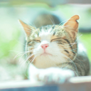 凡人はぼんじんらしく。