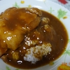 ほろほろ食感の肉塊チキンカレー