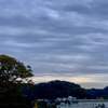見えないところでしっかりと・・・球根に見習う