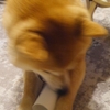 めくれとおケツぶりぶり、だよ