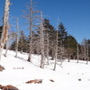 オフトレ山行　積雪期の山伏〜猪の段