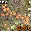 令和５年のスナイパートレーニング（その10）