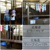 高橋さんを訪ねて🐎