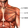 服を着た時に胸板がでかくパツパツに着れるトレーニング方法