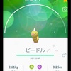 【ポケGO】色違いのビードルをゲットだぜ！