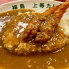 20241227 カレーにはトンカツこそが絶対でエビフライすら脇役になる