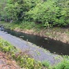 4月23日(木)秩父フライフィールドの河川情報