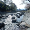 湯河原温泉「ホテル城山」時が止まる、余白の湯
