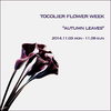 【11月のtocolier flower week　"autumn leaves"】