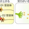 やる気の脳内メカニズム