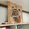 猫を室内で飼うための対策　～キャットウォークをDIY　第一弾～