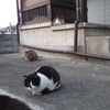 なんかの集会でしょうか