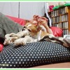ロープとプー