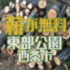 12月23日　東部公園の伐採木を無償提供があります　愛媛県西条市