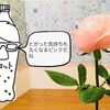 【食卓に一輪の花を】ほんわかする！優しいピンクのバラ