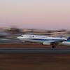 飛行機(ANA)離陸｜垂直尾翼の夕景