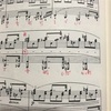 ショパン前奏曲集作品28（99）各曲の鳥肌ポイント③