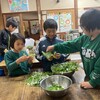 よもぎ団子づくりとモリアオガエルいるかなー