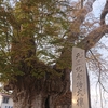 東根市　東根城の歴史と史跡をご紹介！(波乱の戦国時代編)🏯
