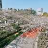 SAKURA Walk 2026 -東京ミッドタウン- / Art&Architecture＃582