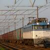 昨日は終戦記念日でした