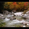 安曇野　紅葉　【木曽の紅葉】　その二　阿寺渓谷