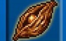 記事を見る
