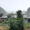 降らない降らない詐欺からようやく雨