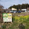 茨城　埴輪キャンプ場②桜と里山のキャンプ場