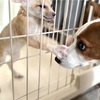令ちゃん家の話