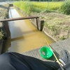 念願の用水路の釣りで入れ食い