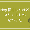 管理不要、樹木葬にしたけどメリットしかなかった