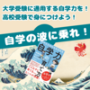 最上位層のメタ認知爆裂上昇スパイラル！自学の波に乗れ！