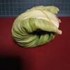 ロールキャベツ