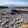 三峰川【その2】－（長野県伊那市）－