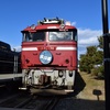 ザ・ヒロサワシティの保存車　その2