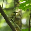 お近く散歩　智光山公園　第２弾