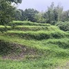 お盆前の草刈りー丸山城跡二の丸斜面ー