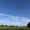６月１５日、あーだこーだ