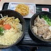 はなまるうどん　ニトリモール相模原店〜明太おろししょうゆ　大／塩豚丼／野菜かきあげ／讃岐うどん／フードコート〜