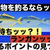 青物は回遊待ちをすべきか、ランガンすべきか