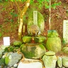 玉作湯神社の書置き御朱印と見どころを徹底紹介