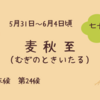 【七十二候】第24候 麦秋至（むぎのときいたる）｜夏の薬膳で「湿」と「熱」を排出！