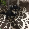 まろにー204日目